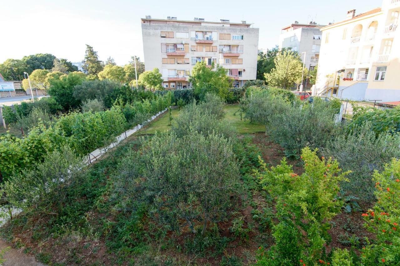 Apartment Relja Zadar Extérieur photo